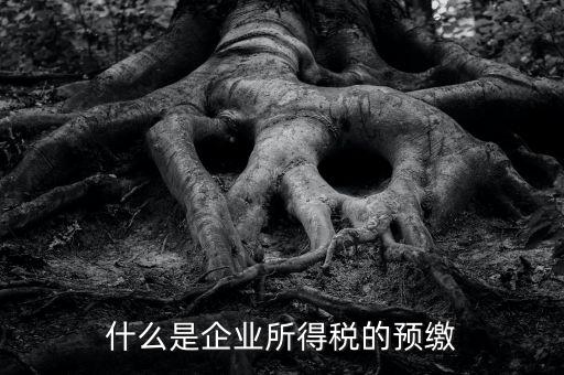 什么是預交企業(yè)所得稅，什么是企業(yè)所得稅的預繳