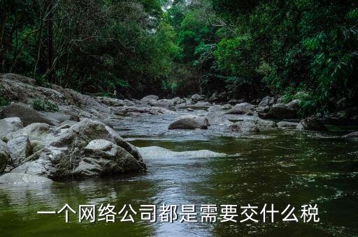 互聯(lián)網(wǎng)公司交什么稅，做互聯(lián)網(wǎng)服務(wù)行業(yè)要交多少稅