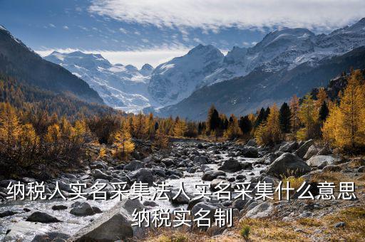 納稅人實(shí)名采集法人實(shí)名采集什么意思納稅實(shí)名制
