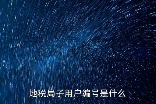 地稅網(wǎng)用戶 子賬戶是指什么，地稅的用戶名是什么