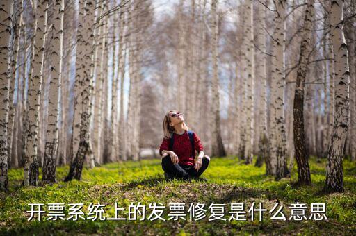 發(fā)票修復(fù)是什么意思，開票系統(tǒng)上的發(fā)票修復(fù)是什么意思