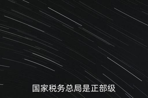 稅務(wù)大廳主任什么級(jí)別，金河鎮(zhèn)稅務(wù)務(wù)局局長是什么級(jí)別