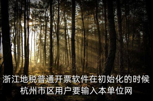 浙江網(wǎng)上稅務(wù)局的注冊(cè)碼是什么，浙江地稅因特網(wǎng)辦稅服務(wù)系統(tǒng)注冊(cè)碼過(guò)期