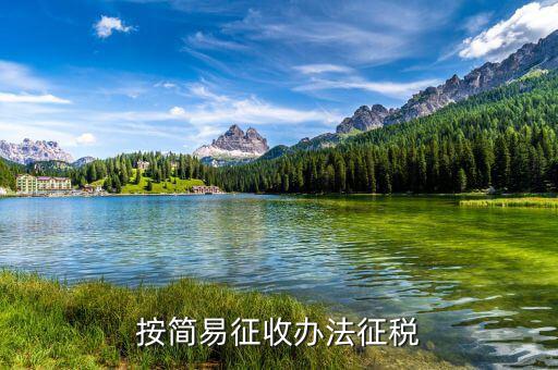 什么是簡易辦法征收，采用簡易辦法征收增值稅到一般納稅人可以按6或4征收增值稅這