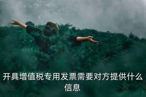 稅務專票需要什么資料，第一次辦理增值稅專用發(fā)票認證需要什么資料
