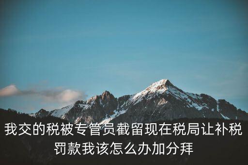 稅務(wù)人員截留稅款受什么處分，我交的稅被專管員截留現(xiàn)在稅局讓補(bǔ)稅罰款我該怎么辦加分拜