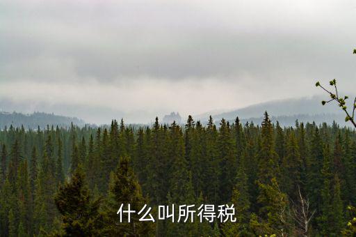 居民企業(yè)所得稅是什么，居民企業(yè)所得稅月度預(yù)繳納稅申報收入指什么時候的