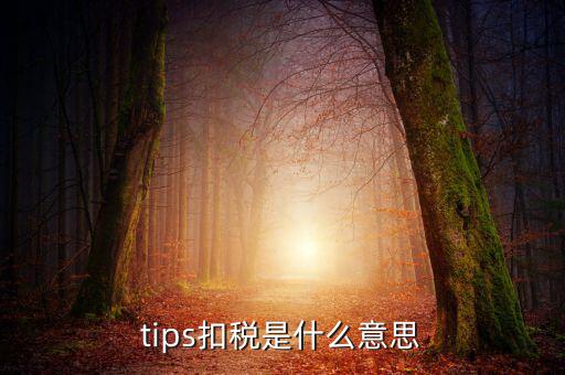 國稅tips系統(tǒng)指什么意思，電子對賬單上摘要一欄寫有tips是什么意思