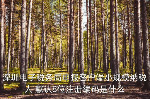 深圳納稅人編號(hào)是什么，什么是深圳市國(guó)稅百元開(kāi)頭發(fā)票的納稅人識(shí)別號(hào)