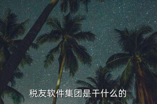 稅友軟件是干什么的，稅友的稅友軟件集團(tuán)