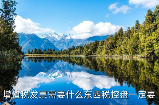 發(fā)票打印需要什么盤，調(diào)試打印增值稅發(fā)票的打印機要插入金稅盤嗎