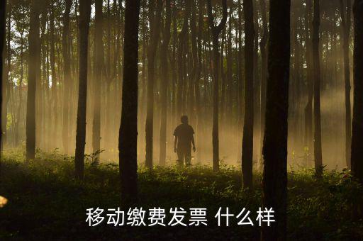 移動電子發(fā)票什么樣，移動繳費發(fā)票 什么樣