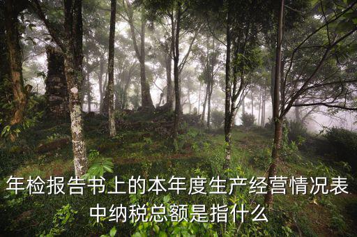 年報的納稅額看什么表，年檢報告書上的本年度生產(chǎn)經(jīng)營情況表中納稅總額是指什么