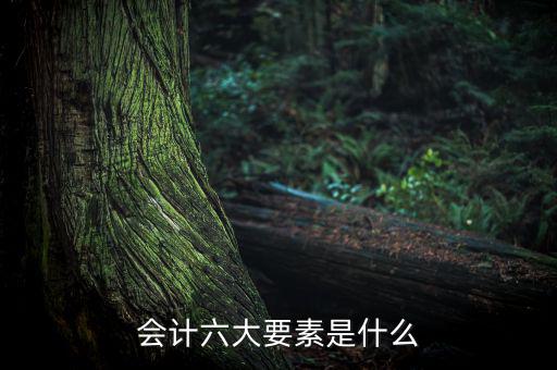 會計(jì)六大要素是什么