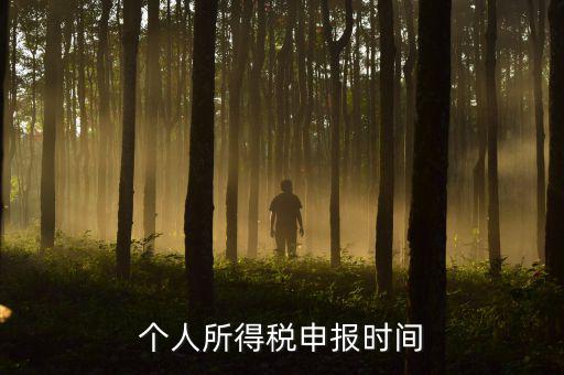 代扣代繳的個稅什么時候申報，個人所得稅申報時間