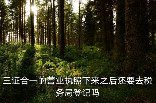 辦完三證合一 要去稅局做什么，三證合一后還需要去國(guó)地稅做些什么啊