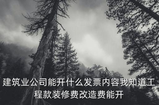 建筑業(yè)開(kāi)票開(kāi)什么內(nèi)容，建筑行業(yè)需要開(kāi)些什么票