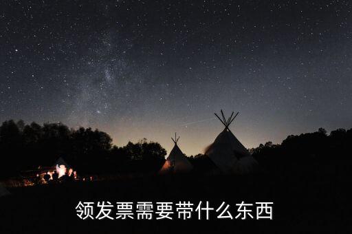 發(fā)票領用簿 需要什么資料，領發(fā)票需要帶什么東西