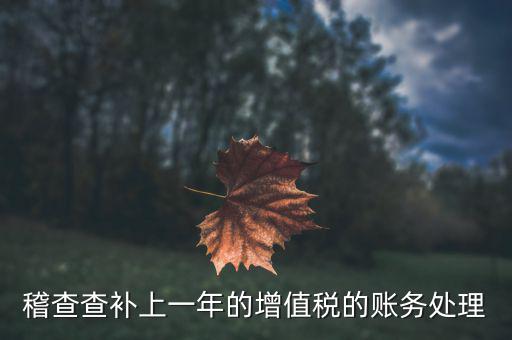 稽查補什么稅，請問被國稅局稽查局查處補交增值稅所得稅及滯納金計入應哪個科目