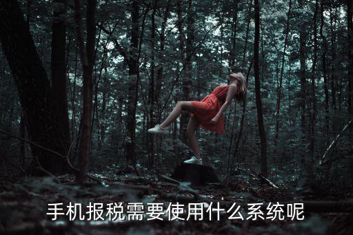 手機(jī)報(bào)稅需要使用什么系統(tǒng)呢
