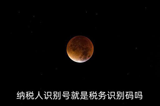 稅務(wù)標(biāo)識(shí)符是什么意思，納稅人識(shí)別碼是什么