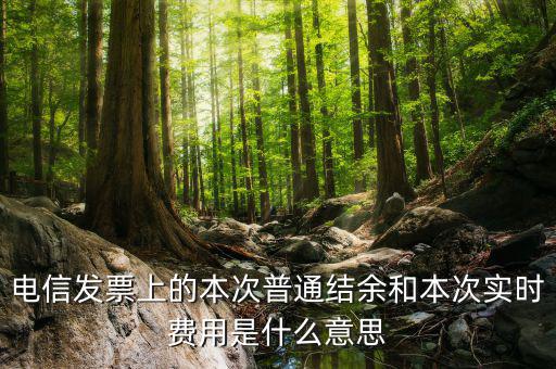 結(jié)余發(fā)票是什么，電信交話費(fèi)發(fā)票上本次普通結(jié)余是什么意思啊 實(shí)時(shí)費(fèi)用又是什么意思啊