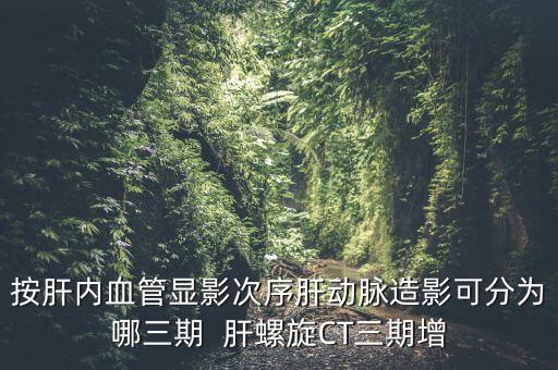 為什么要做三期增強(qiáng)，按肝內(nèi)血管顯影次序肝動脈造影可分為哪三期  肝螺旋CT三期增