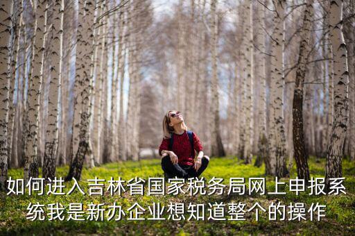 如何進(jìn)入吉林省國家稅務(wù)局網(wǎng)上申報(bào)系統(tǒng)我是新辦企業(yè)想知道整個(gè)的操作