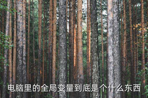 全局是什么意思，什么是指導(dǎo)全局工作決定全局命運(yùn)的方針方式和計(jì)劃
