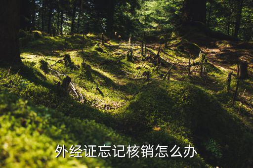 外經證忘記核銷怎么辦