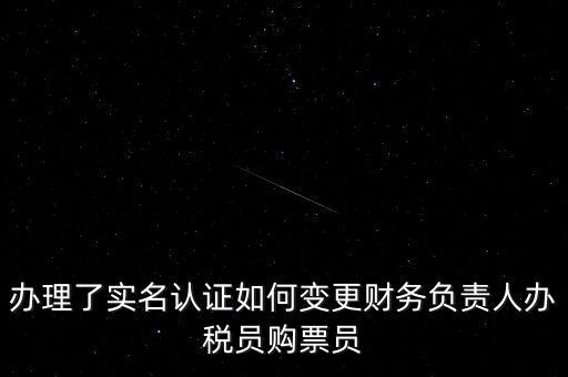 辦理了實(shí)名認(rèn)證如何變更財務(wù)負(fù)責(zé)人辦稅員購票員