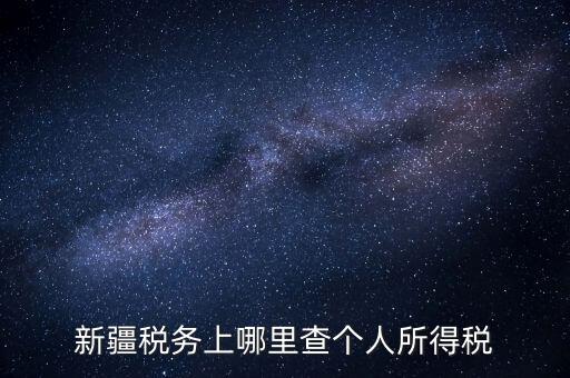 新疆稅務(wù)上哪里查個(gè)人所得稅