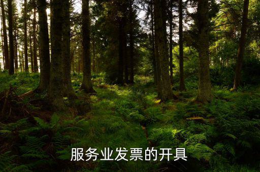 服務行業(yè)用什么發(fā)票，服務業(yè)發(fā)票的開具