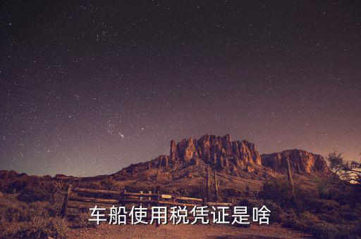 車船稅繳納憑證是什么意思，車船使用稅憑證是啥