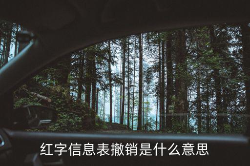 紅字信息表撤銷(xiāo)是什么意思