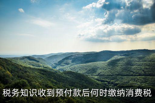 消費(fèi)稅是什么時(shí)候交，各種稅費(fèi)交納時(shí)間