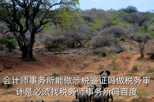會計師事務(wù)所能做涉稅鑒證嗎做稅務(wù)審計是必須找稅務(wù)師事務(wù)所嗎百度