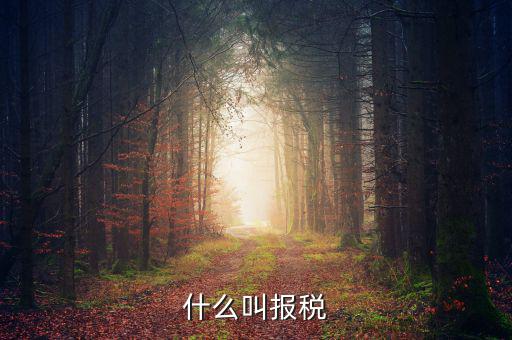 云廳報(bào)稅是什么，手機(jī)報(bào)稅需要使用什么系統(tǒng)呢