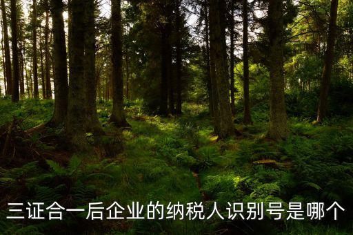 三證合一的納稅人識(shí)別號(hào)是什么，三證合一后企業(yè)的納稅人識(shí)別號(hào)是哪個(gè)