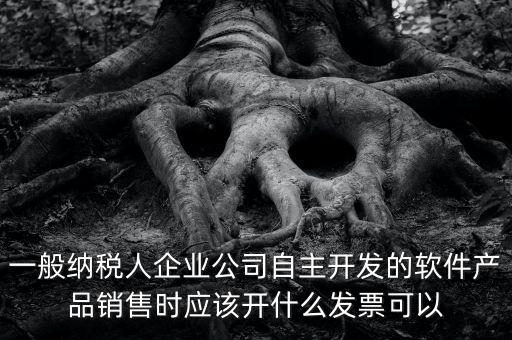 賣(mài)軟件交什么稅，一般納稅人企業(yè)公司自主開(kāi)發(fā)的軟件產(chǎn)品銷(xiāo)售時(shí)應(yīng)該開(kāi)什么發(fā)票可以