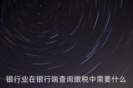銀行端查詢繳稅要帶些什么，銀行業(yè)在銀行端查詢繳稅中需要什么