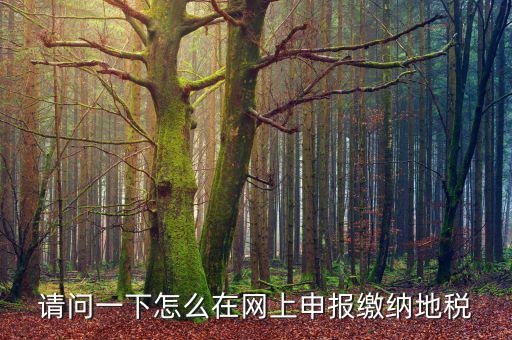 地稅個稅網(wǎng)址是什么，如何查詢個人所得稅明細