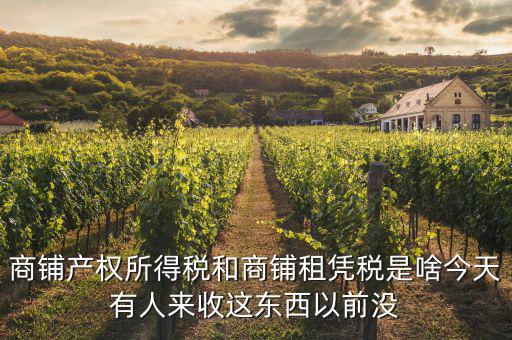 什么是商鋪?zhàn)赓U稅，商鋪出租應(yīng)交哪些稅