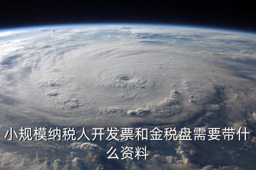 領金稅盤要帶什么材料，去國稅局買金稅盤領發(fā)票要帶些什么東西