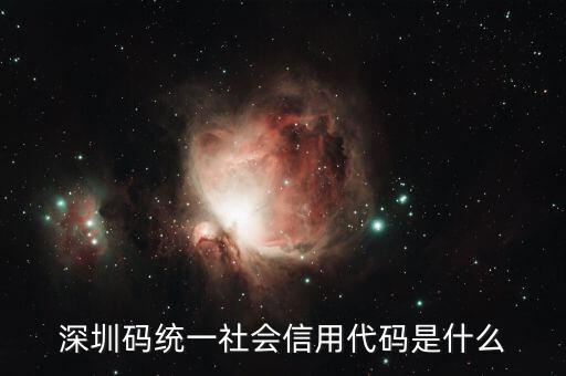 統(tǒng)一社會信用代碼是指什么不同，深圳碼統(tǒng)一社會信用代碼是什么