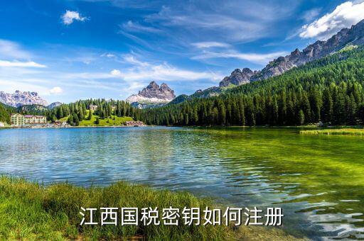 江西國(guó)稅密鑰是什么意思，為啥江西國(guó)稅的CA密鑰總是裝不成功