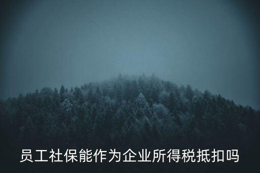 企業(yè)社?？梢缘质裁炊?，員工社保能作為企業(yè)所得稅抵扣嗎