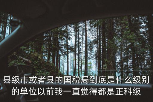縣國稅局辦稅服務廳主任是什么級別，縣地稅局辦公室主任是什么行政級別