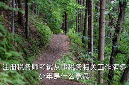 稅務(wù)從業(yè)人數(shù)是什么意思，請(qǐng)問稅務(wù)自查表中的查 數(shù)是什么意思急