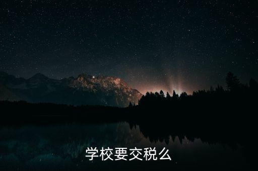 民辦學(xué)校交什么稅，你好我想問(wèn)問(wèn)民辦學(xué)?？梢砸髮W(xué)生補(bǔ)課嗎把補(bǔ)課的錢(qián)作為必交費(fèi)
